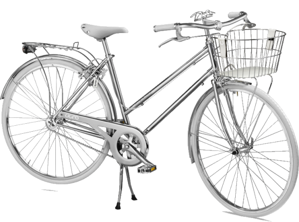 Bicicletta da donna Vintage